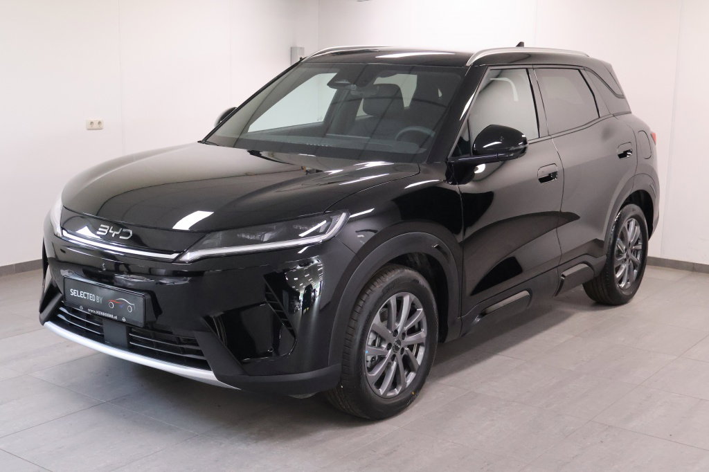Foto van BYD ATTO 2