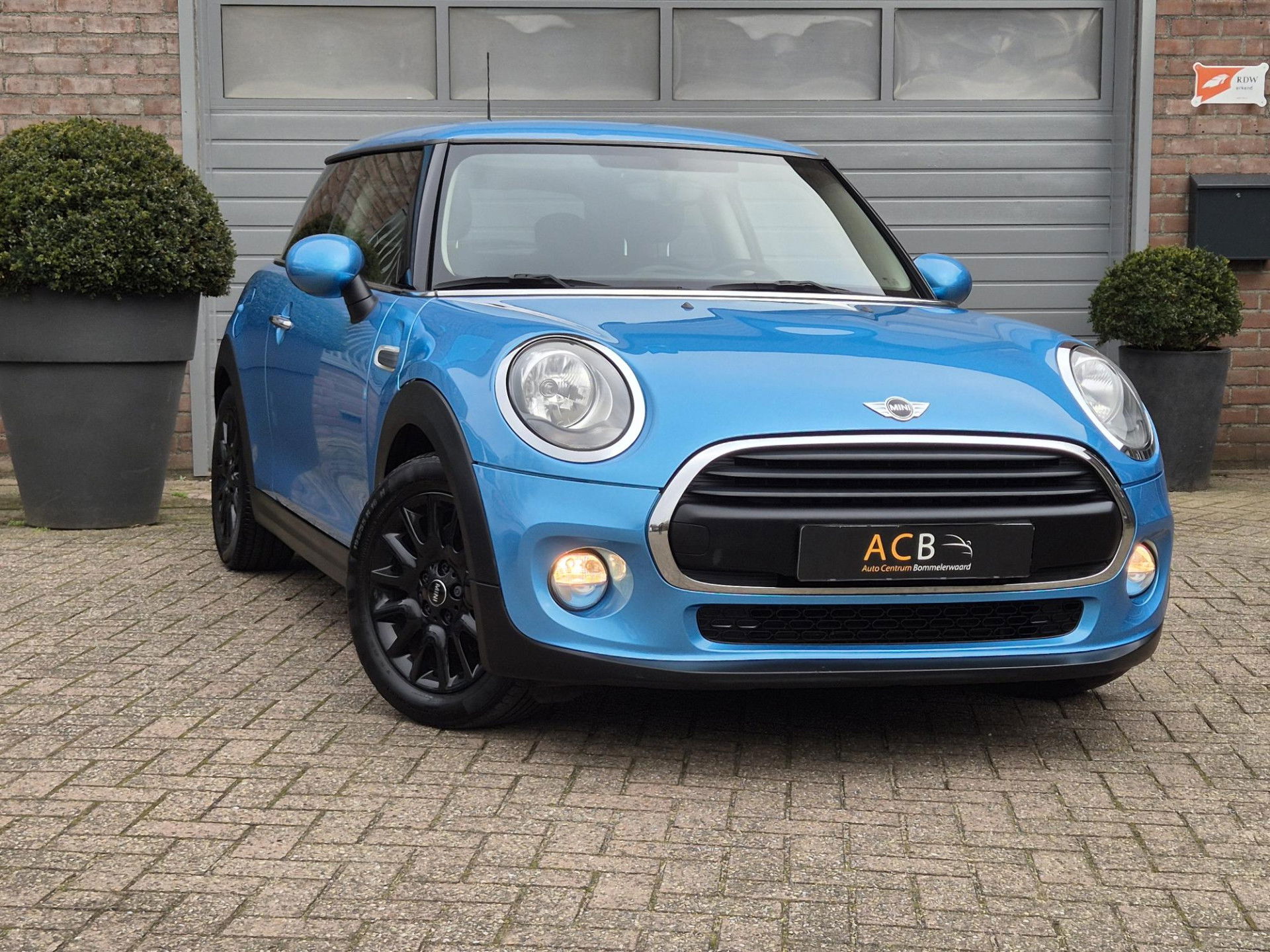 MINI Mini