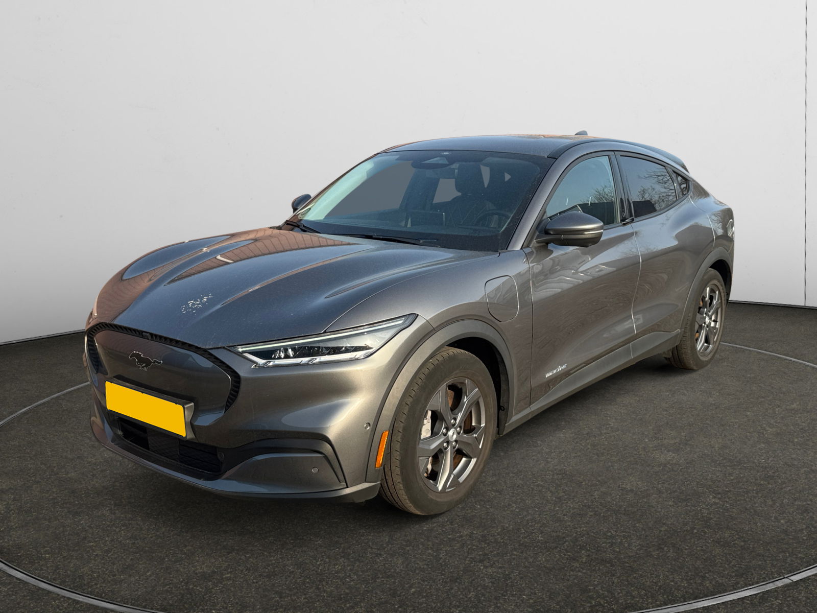 Foto van Ford Mustang Mach-E