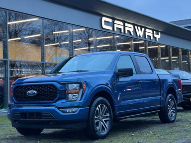Foto van Ford F-150