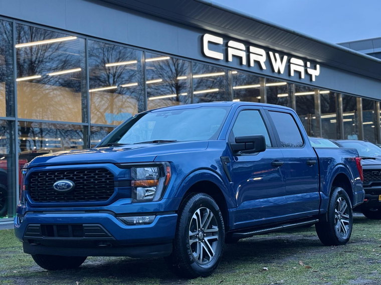 Foto van Ford F-150