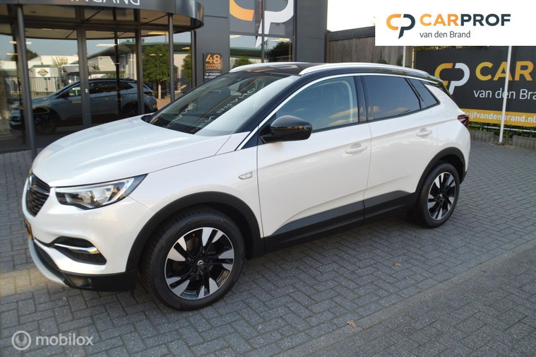 Foto van Opel Grandland X
