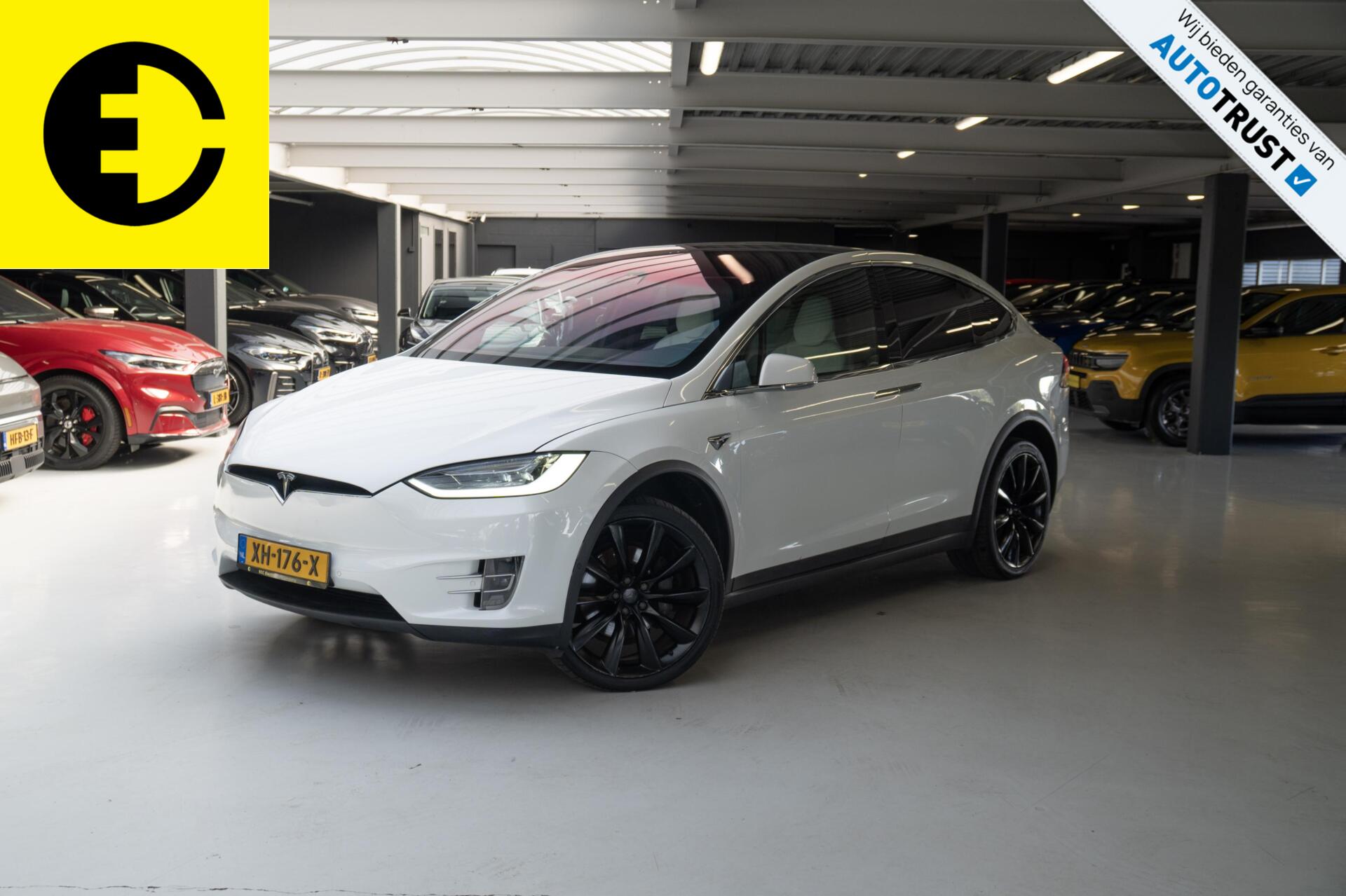 Foto van Tesla Model X