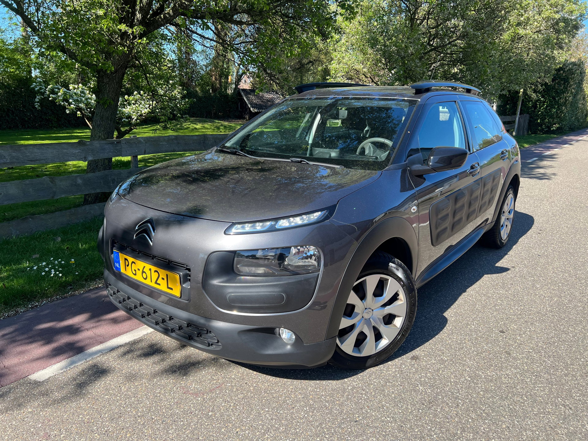Foto van Citroën C4 Cactus