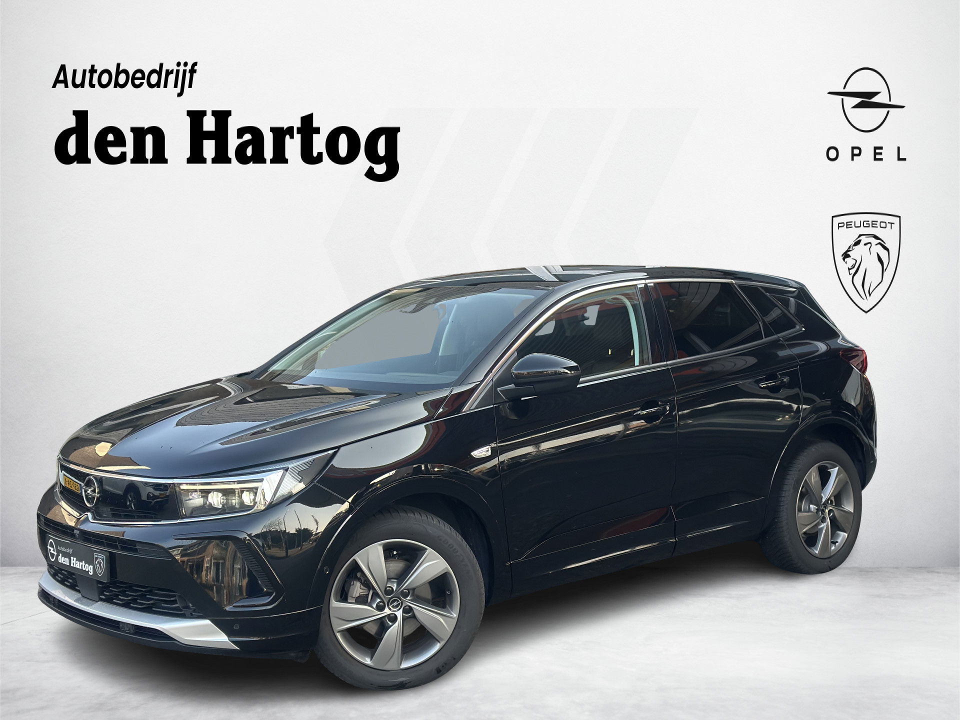 Foto van Opel Grandland