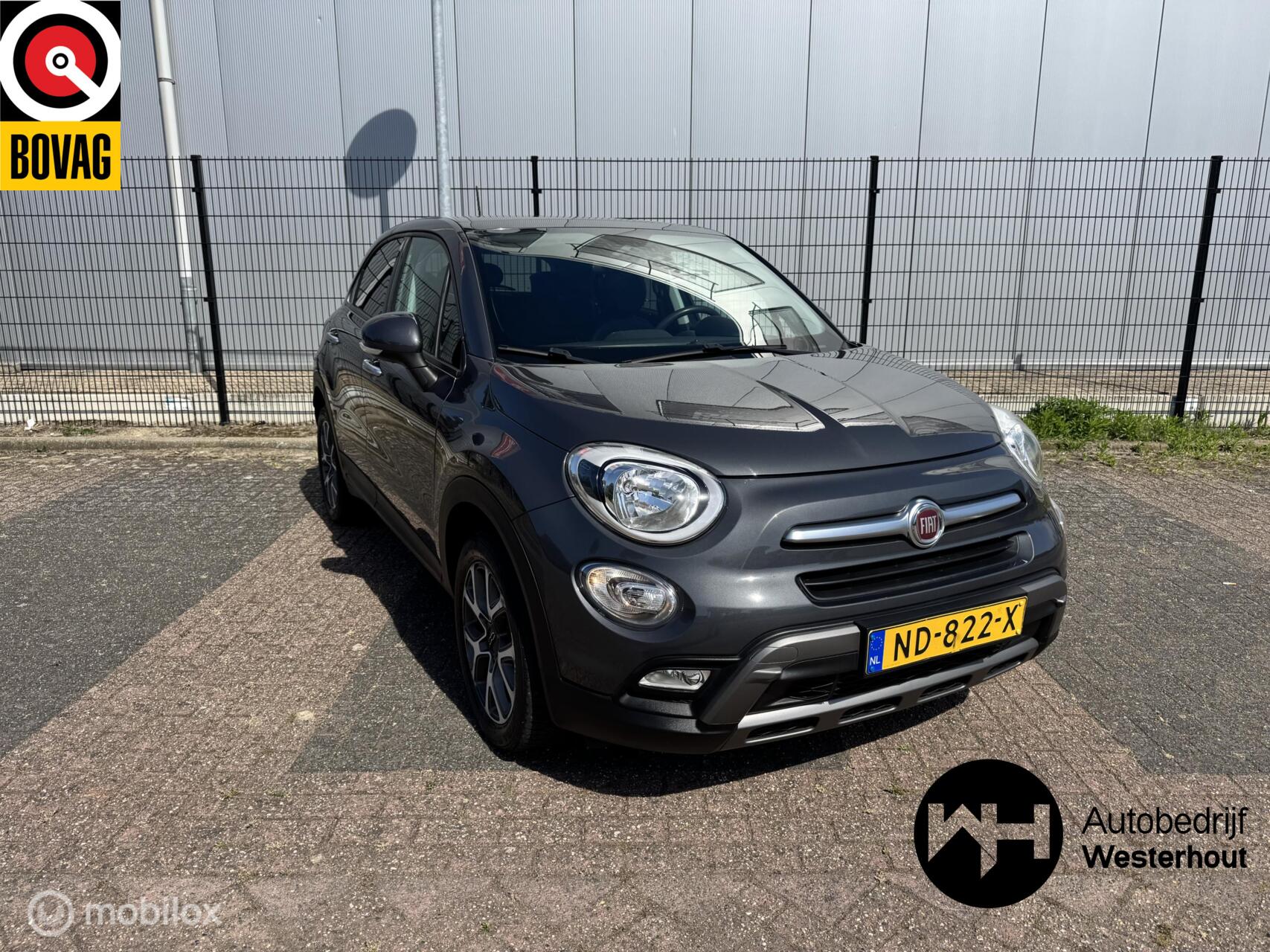 Foto van Fiat 500X