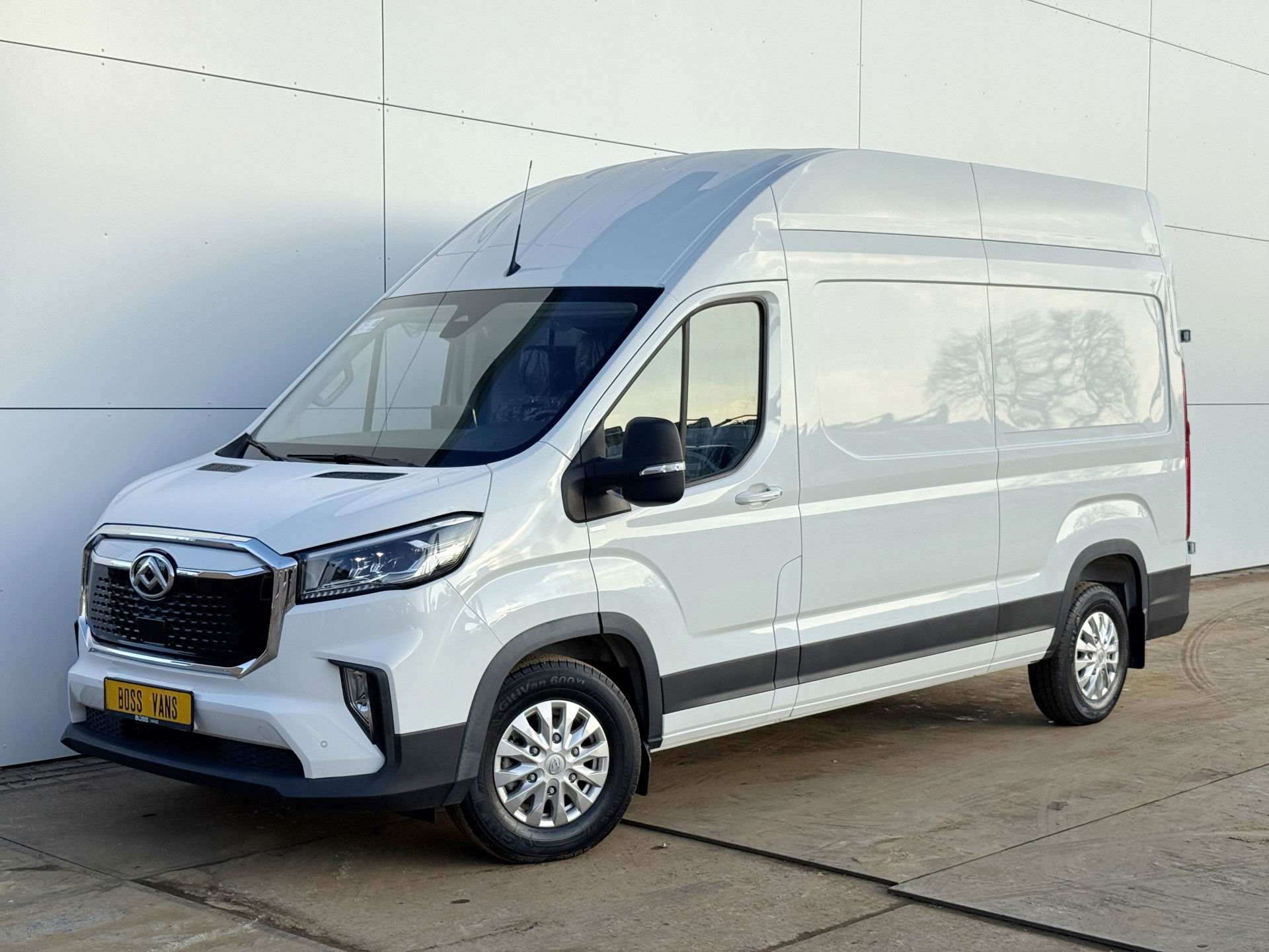 Foto van Maxus eDeliver 9