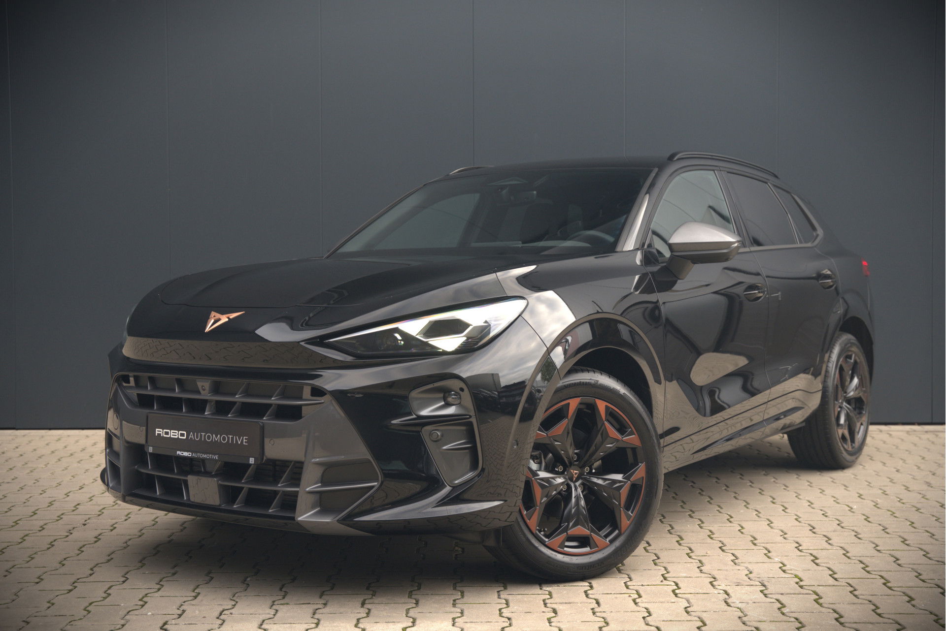 Foto van CUPRA Terramar