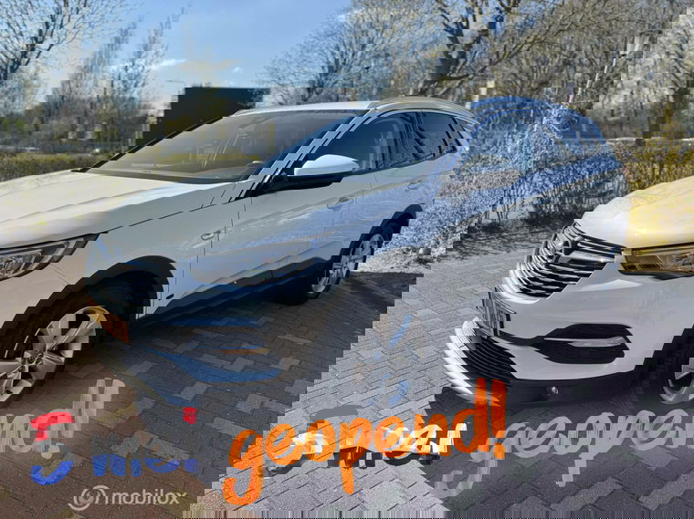 Opel Grandland X