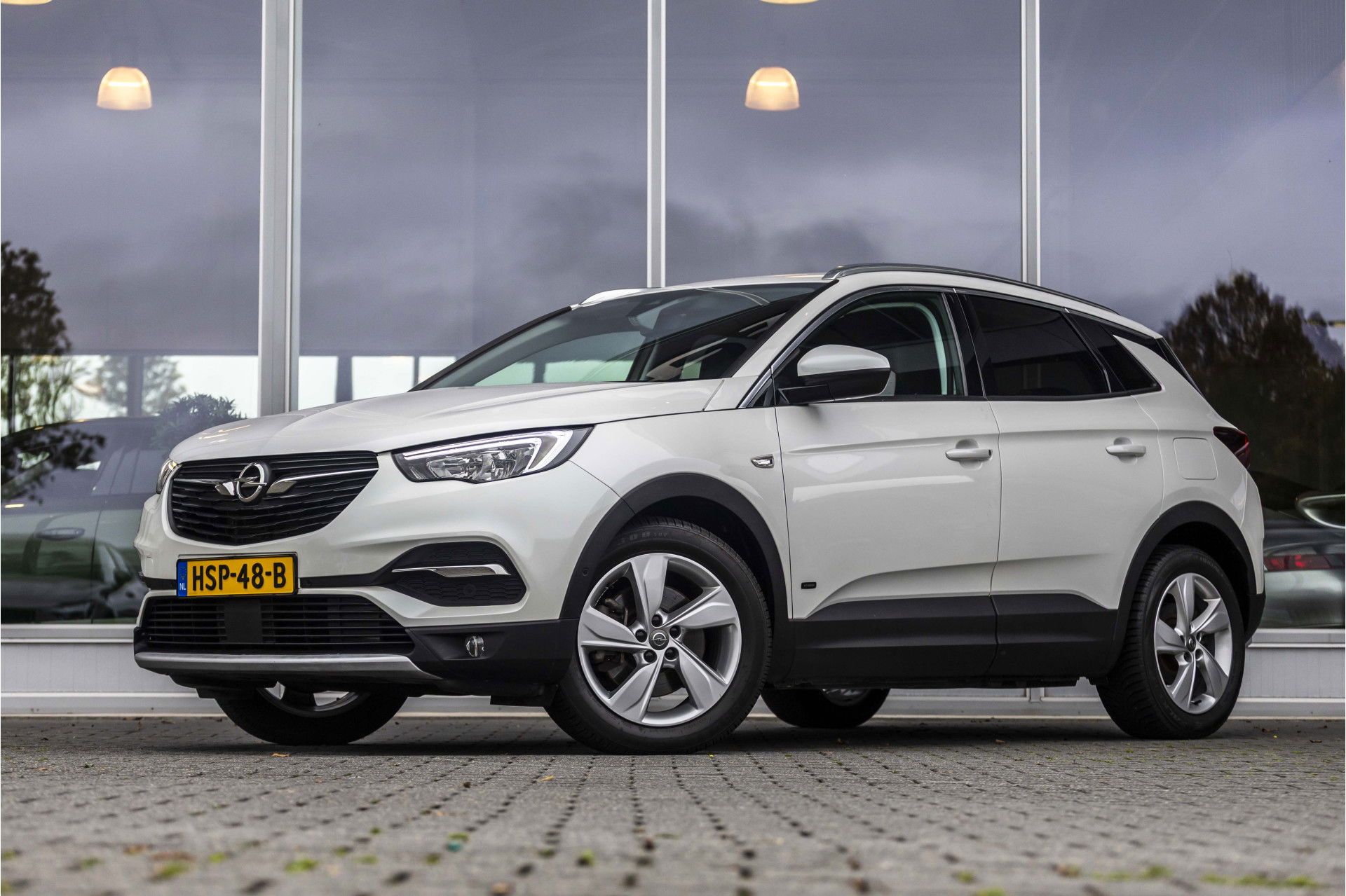 Foto van Opel Grandland X