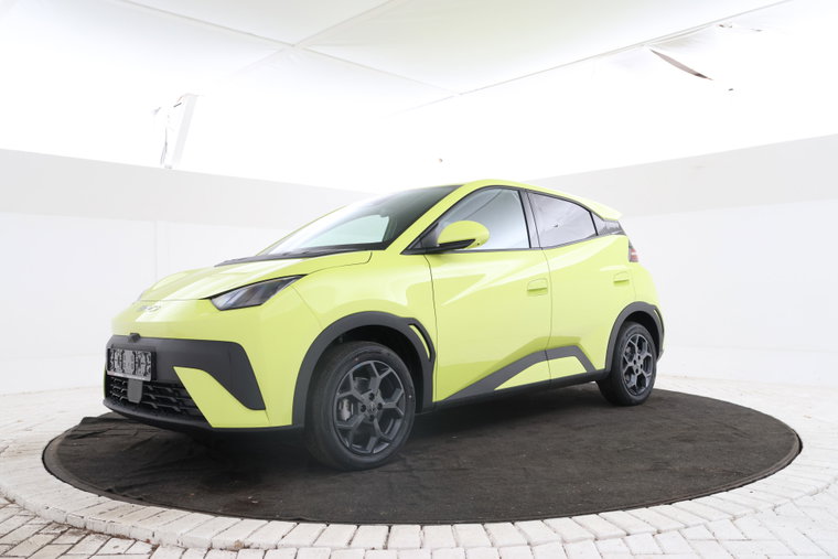 Foto van BYD DOLPHIN SURF