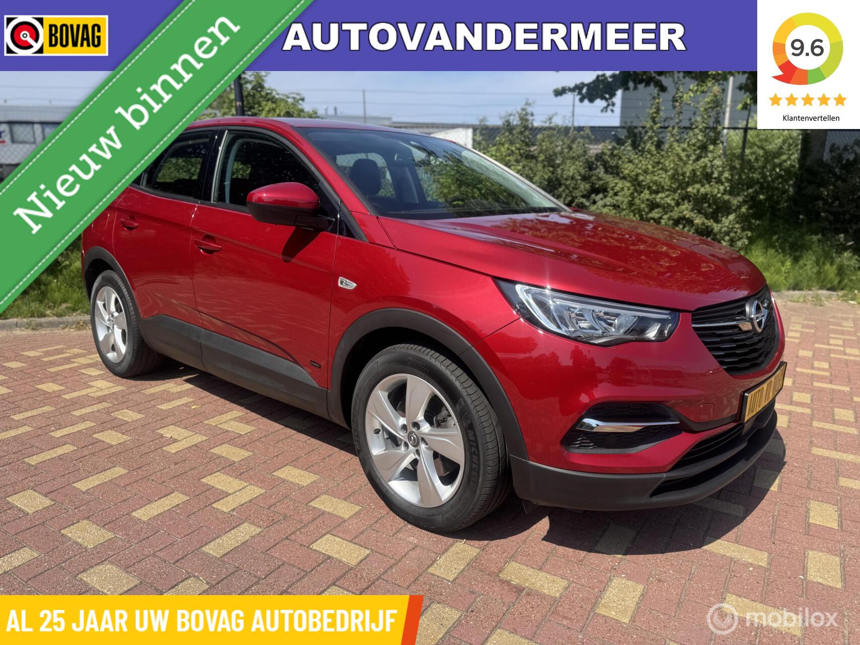 Foto van Opel Grandland X