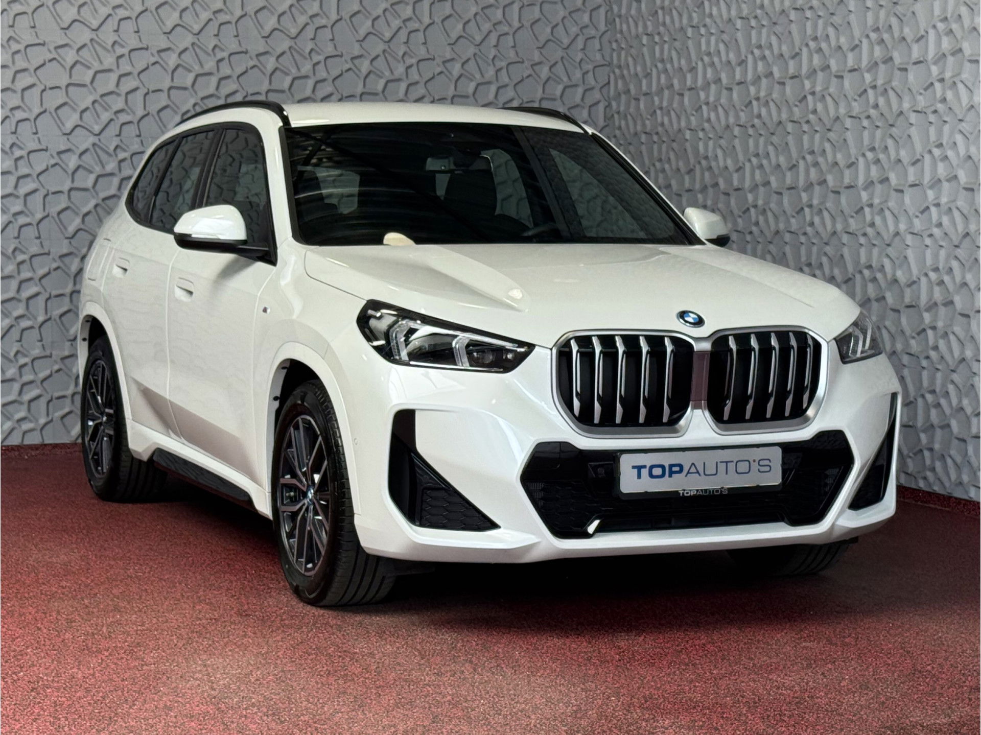 Foto van BMW X1