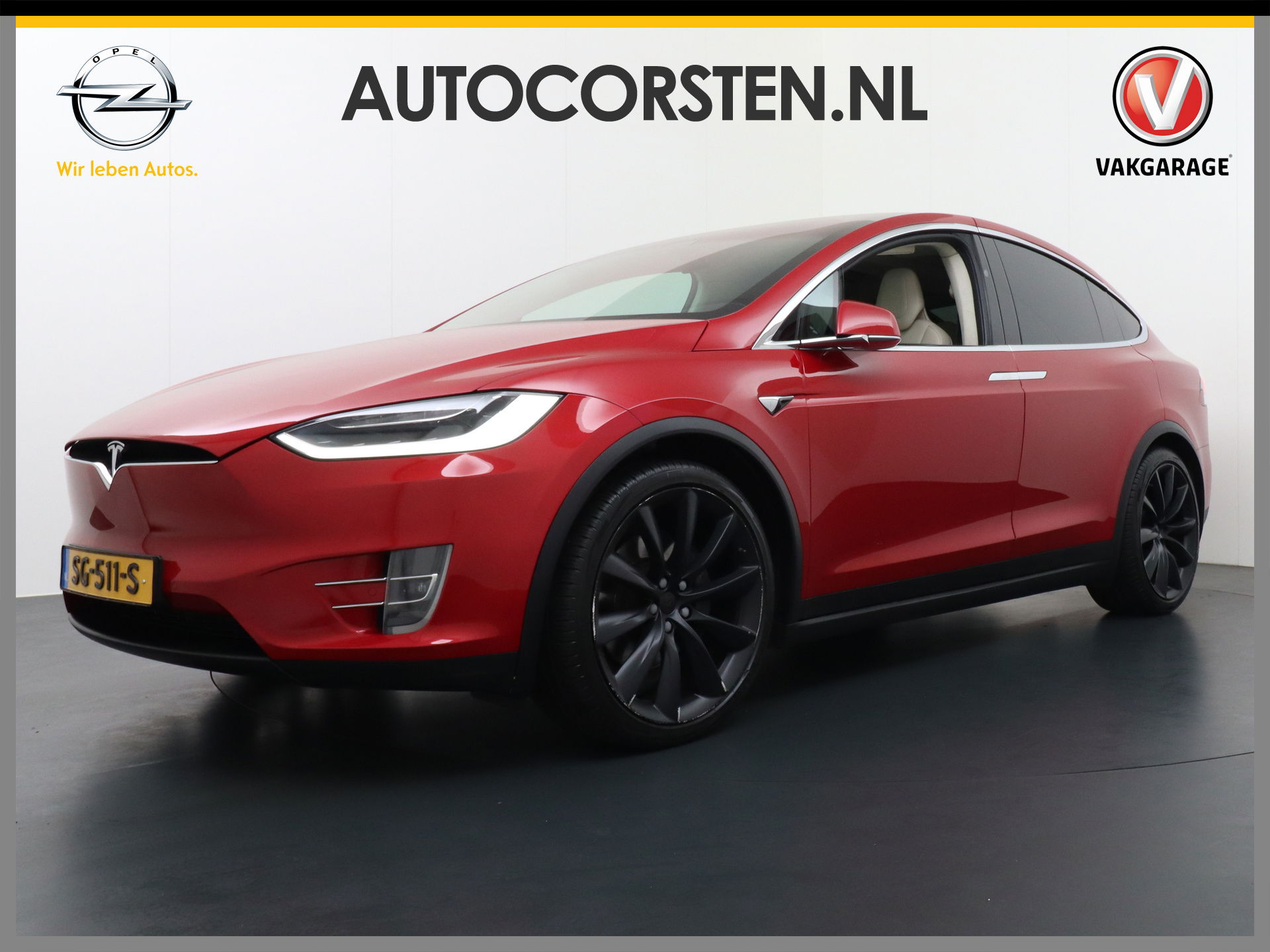 Foto van Tesla Model X