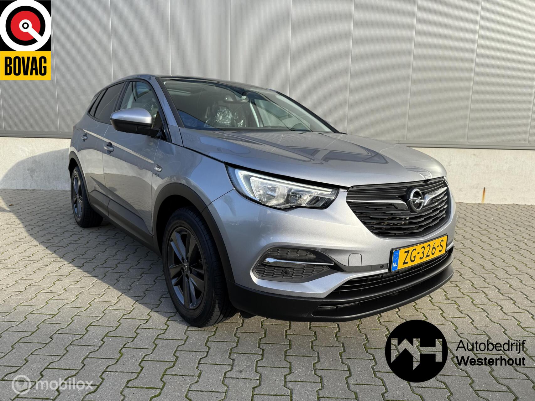 Foto van Opel Grandland X
