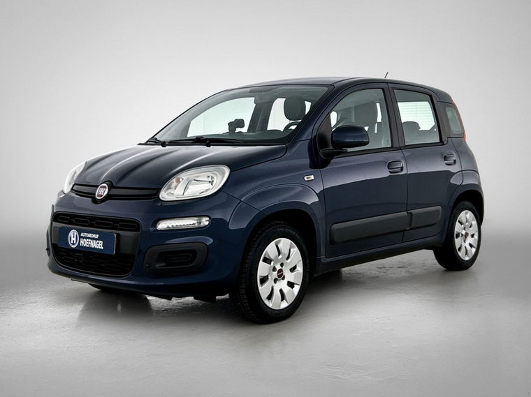 Foto van Fiat Panda