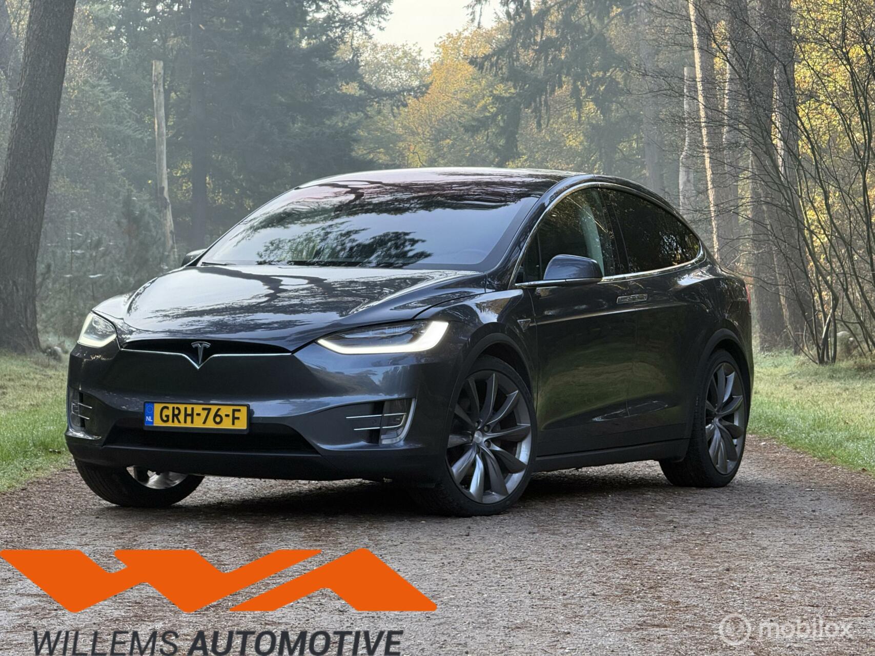 Foto van Tesla Model X