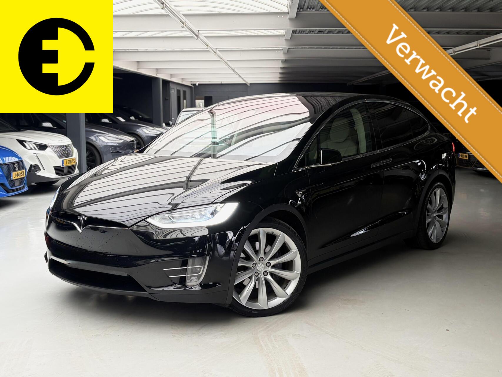 Foto van Tesla Model X