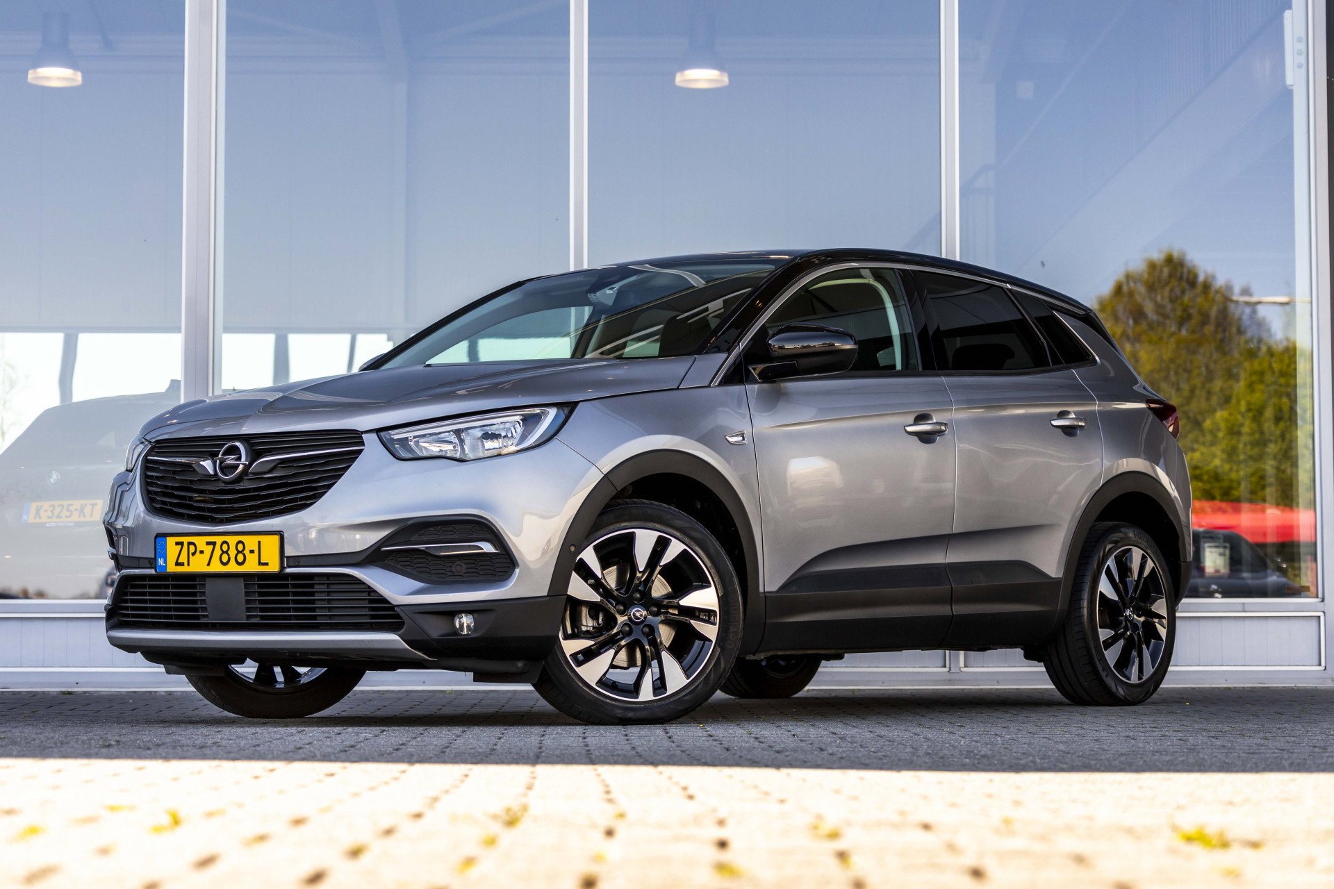 Foto van Opel Grandland X