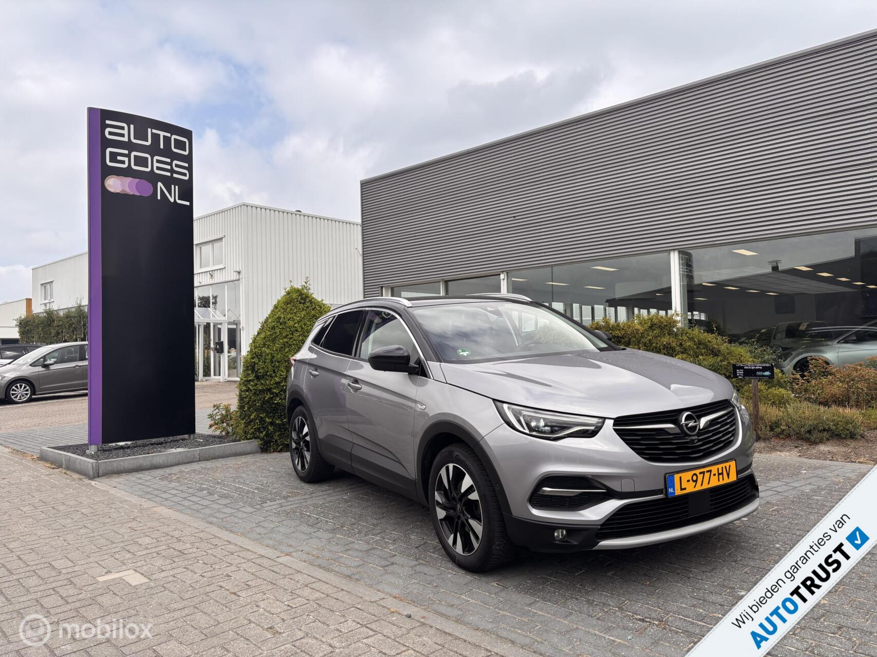 Foto van Opel Grandland X