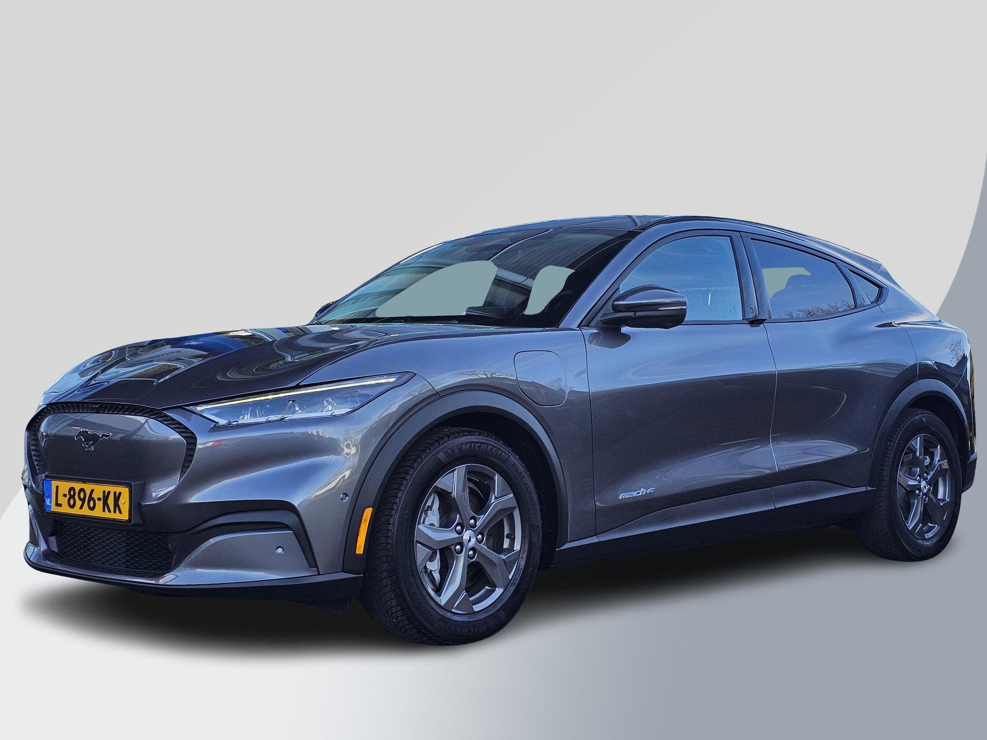 Foto van Ford Mustang Mach-E