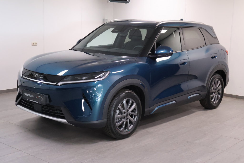 Foto van BYD ATTO 2
