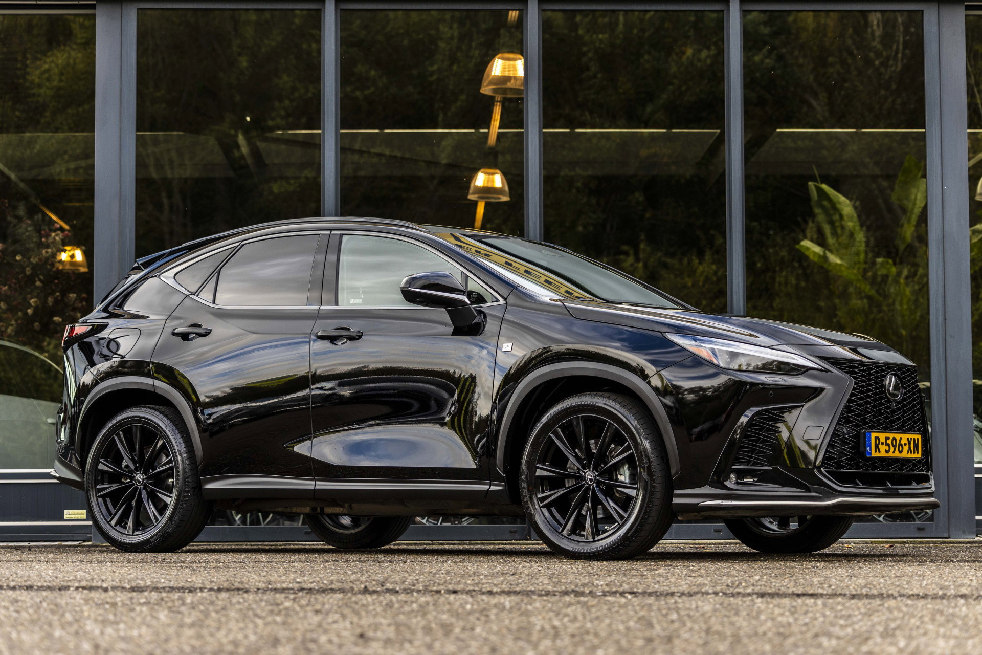 Foto van Lexus NX