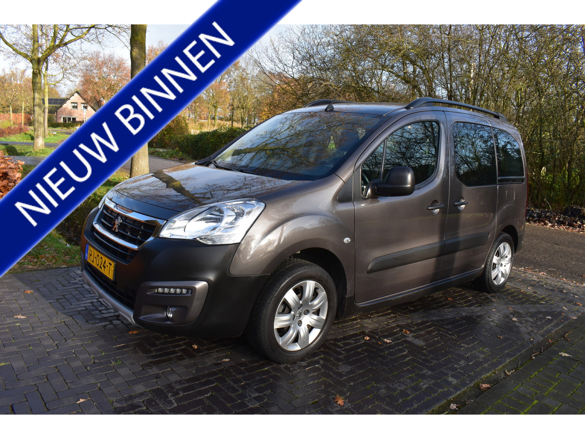 Foto van Peugeot Partner Tepee