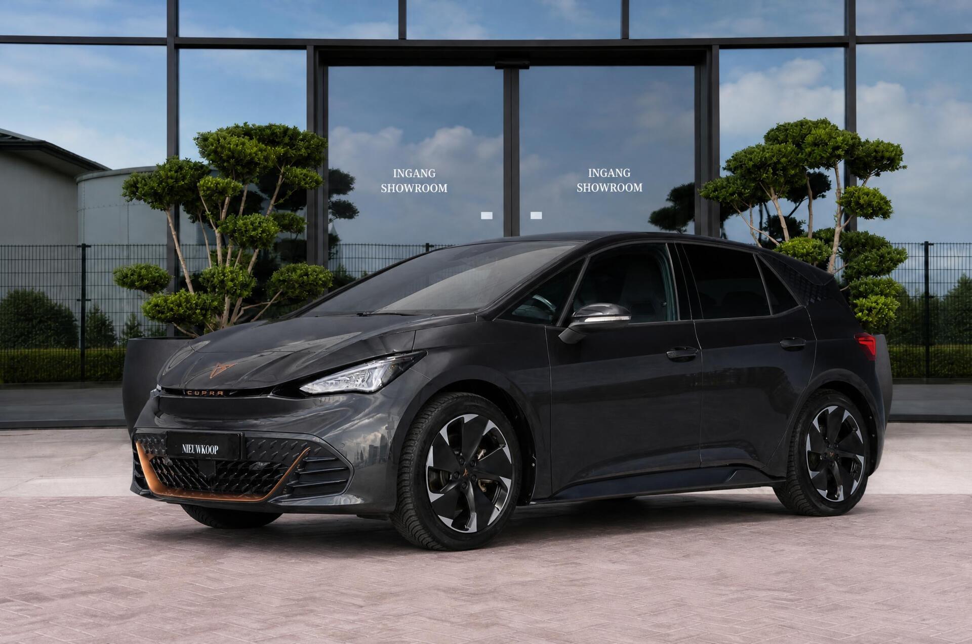 Foto van CUPRA Born
