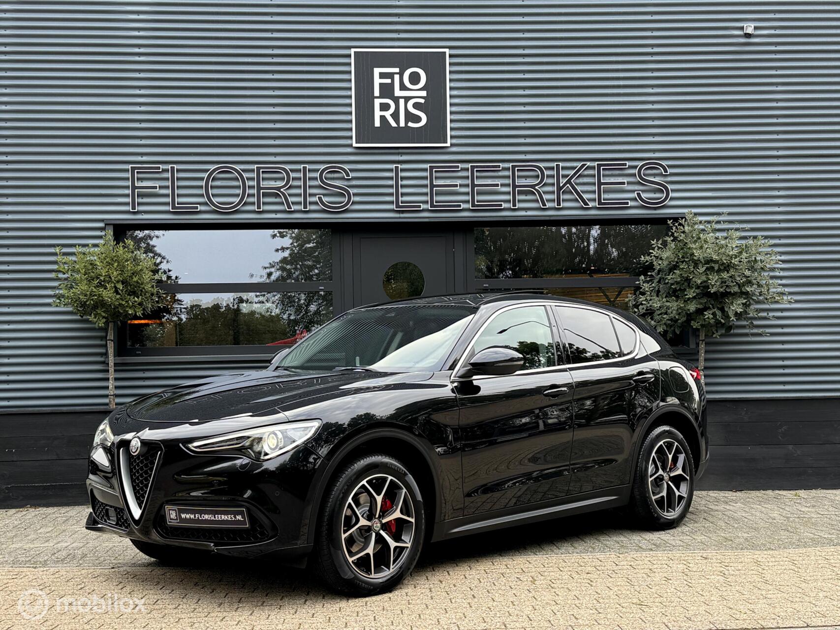 Foto van Alfa Romeo Stelvio