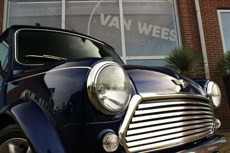 Rover Mini