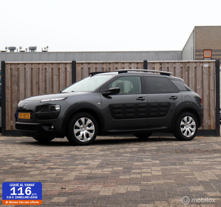 Foto van Citroën C4 Cactus
