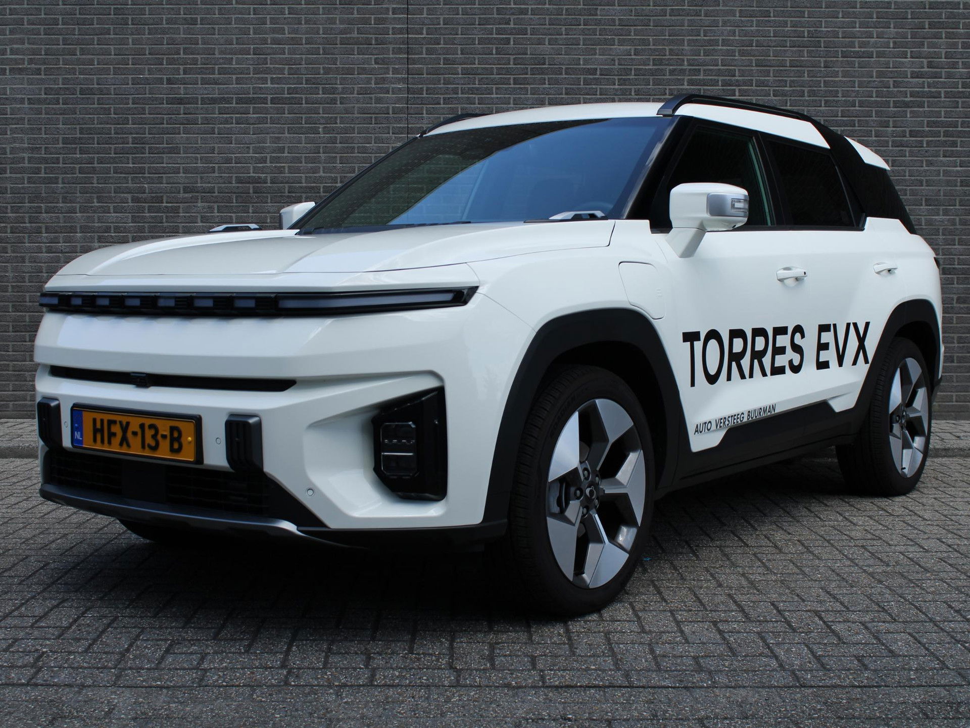 Foto van KGM Torres EVX