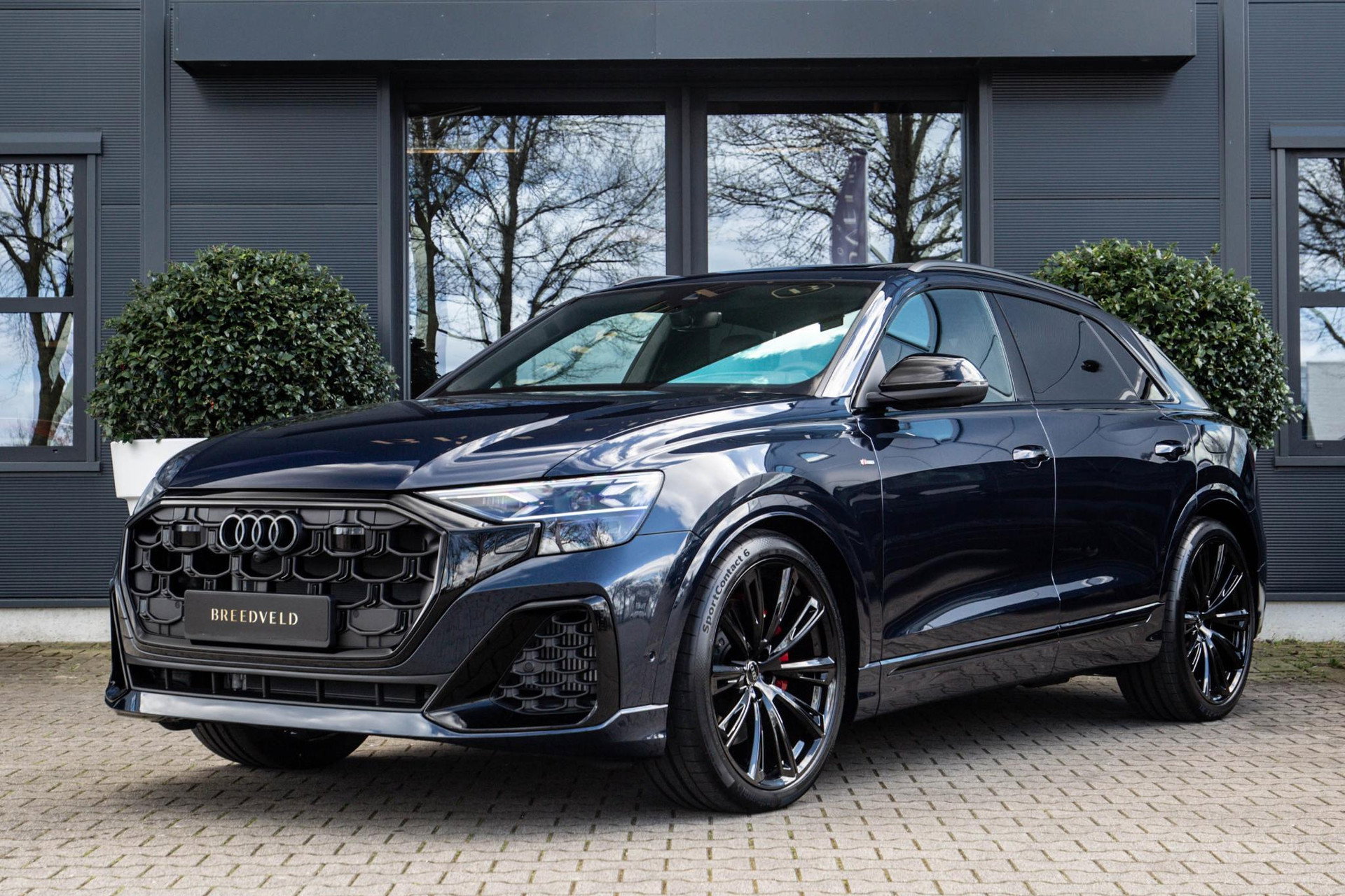Foto van Audi Q8