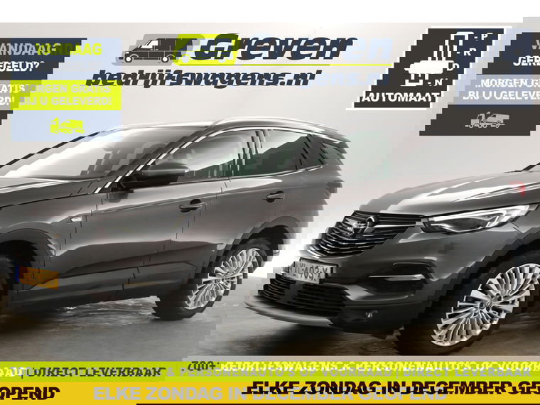 Foto van Opel Grandland X
