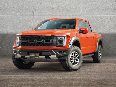 Foto van Ford F-150