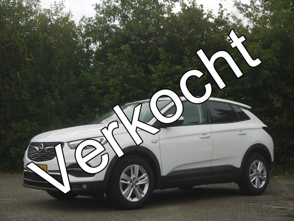 Foto van Opel Grandland X