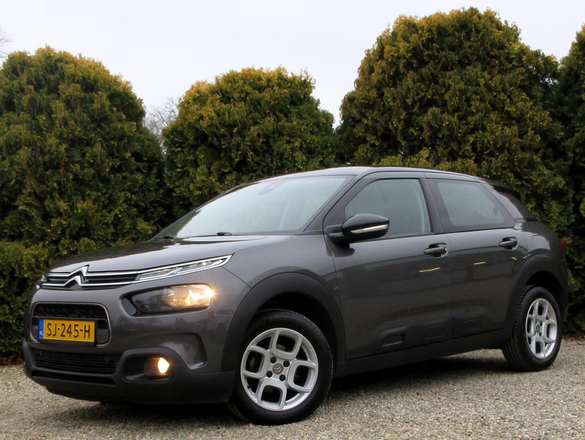 Foto van Citroën C4 Cactus