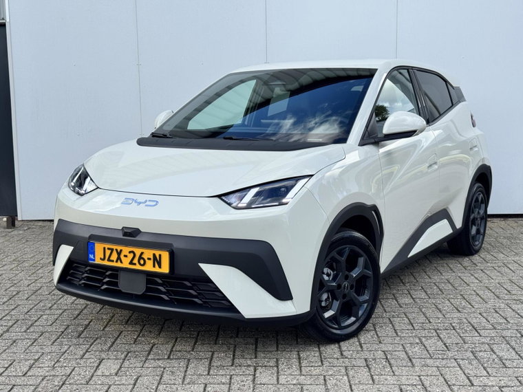 Foto van BYD DOLPHIN SURF