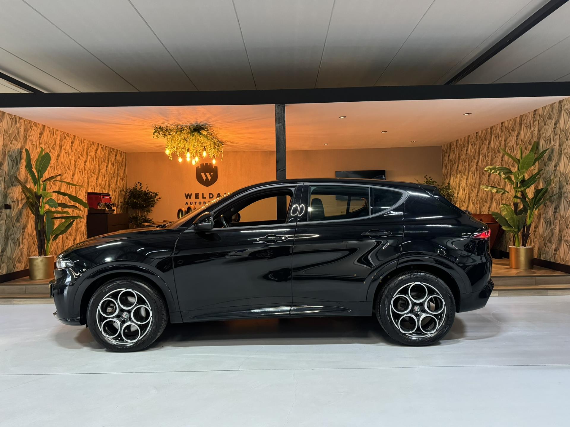 Foto van Alfa Romeo Tonale