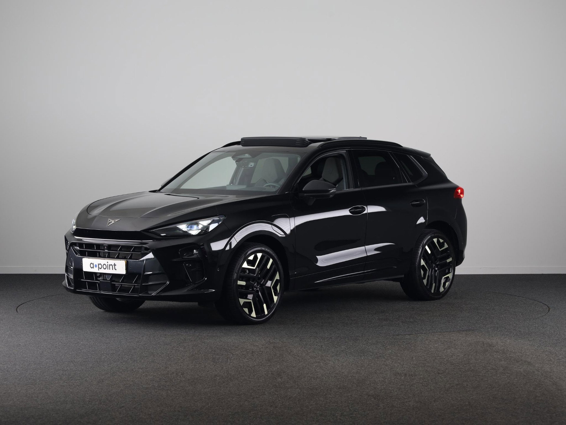 Foto van CUPRA Terramar