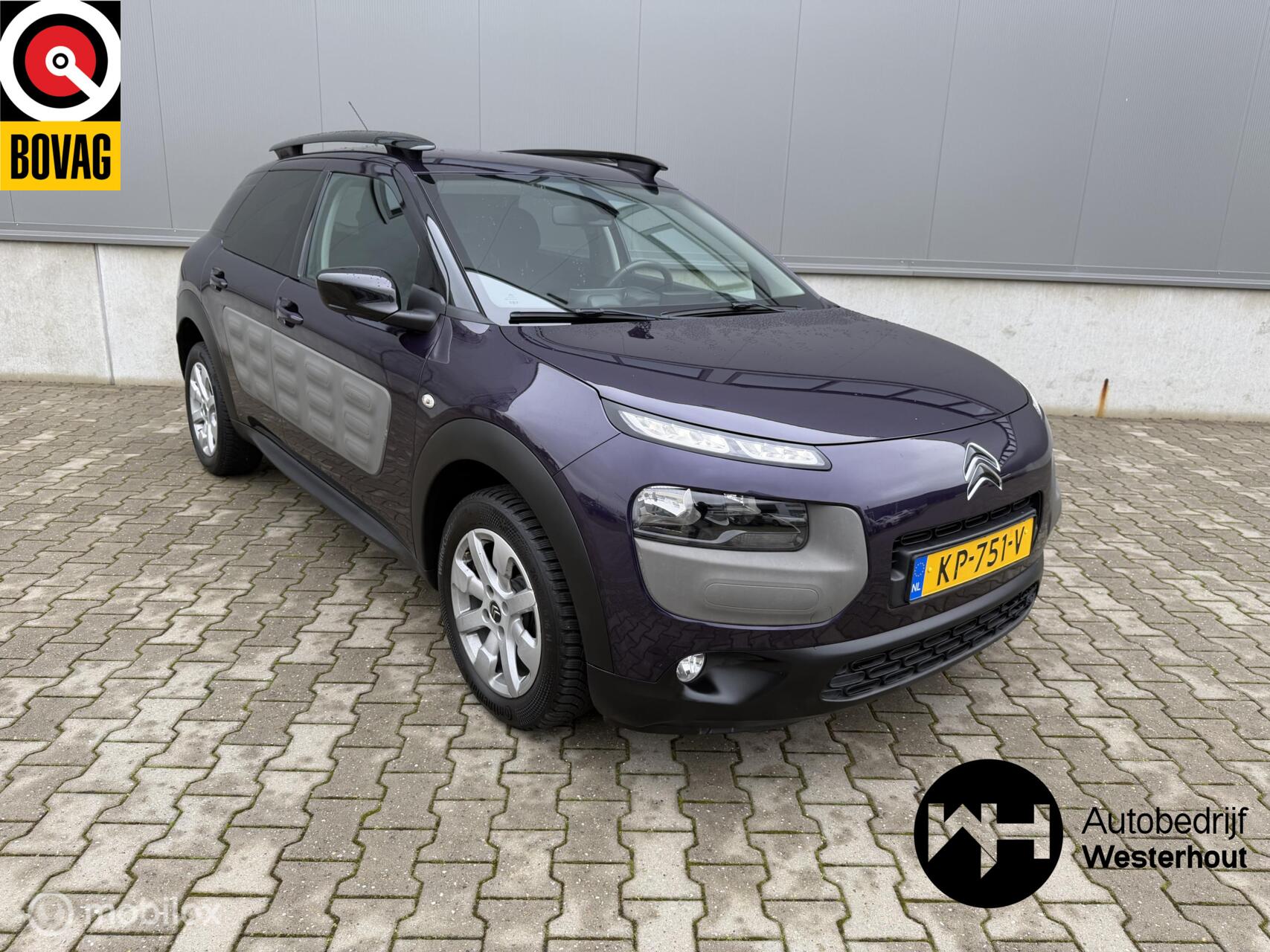 Foto van Citroën C4 Cactus