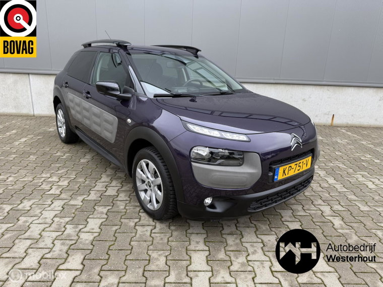 Foto van Citroën C4 Cactus