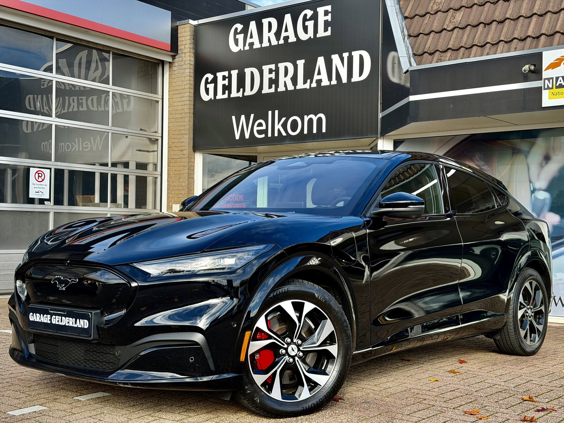 Foto van Ford Mustang Mach-E