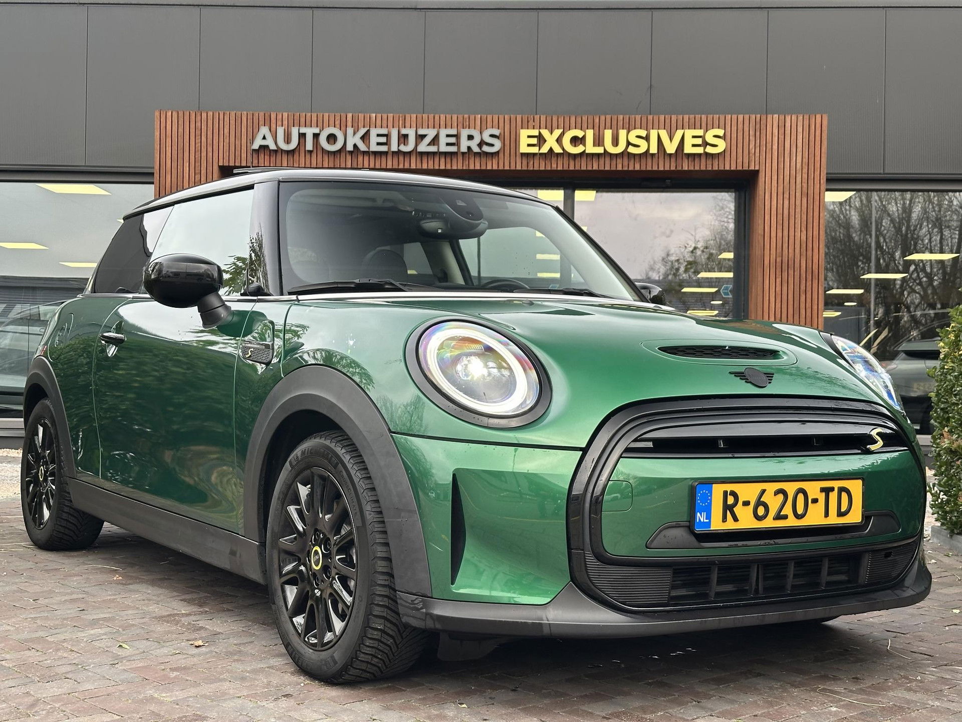 Foto van MINI Mini Electric
