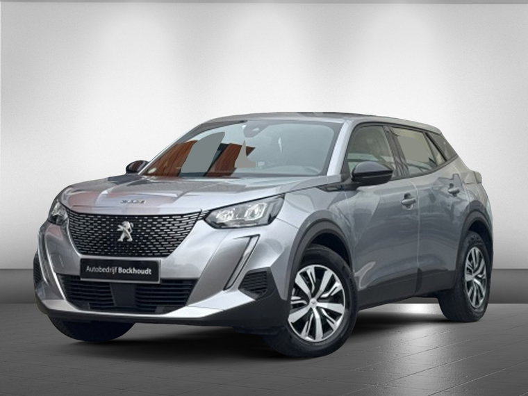 Foto van Peugeot e-2008