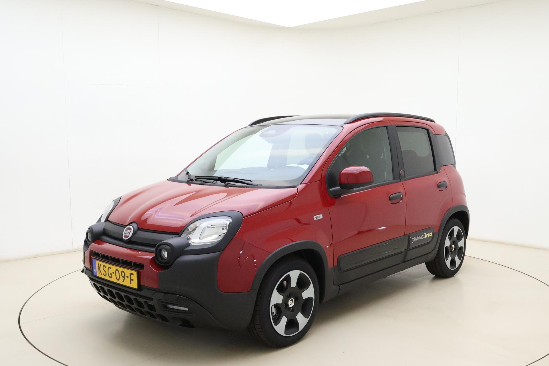 Foto van Fiat Pandina