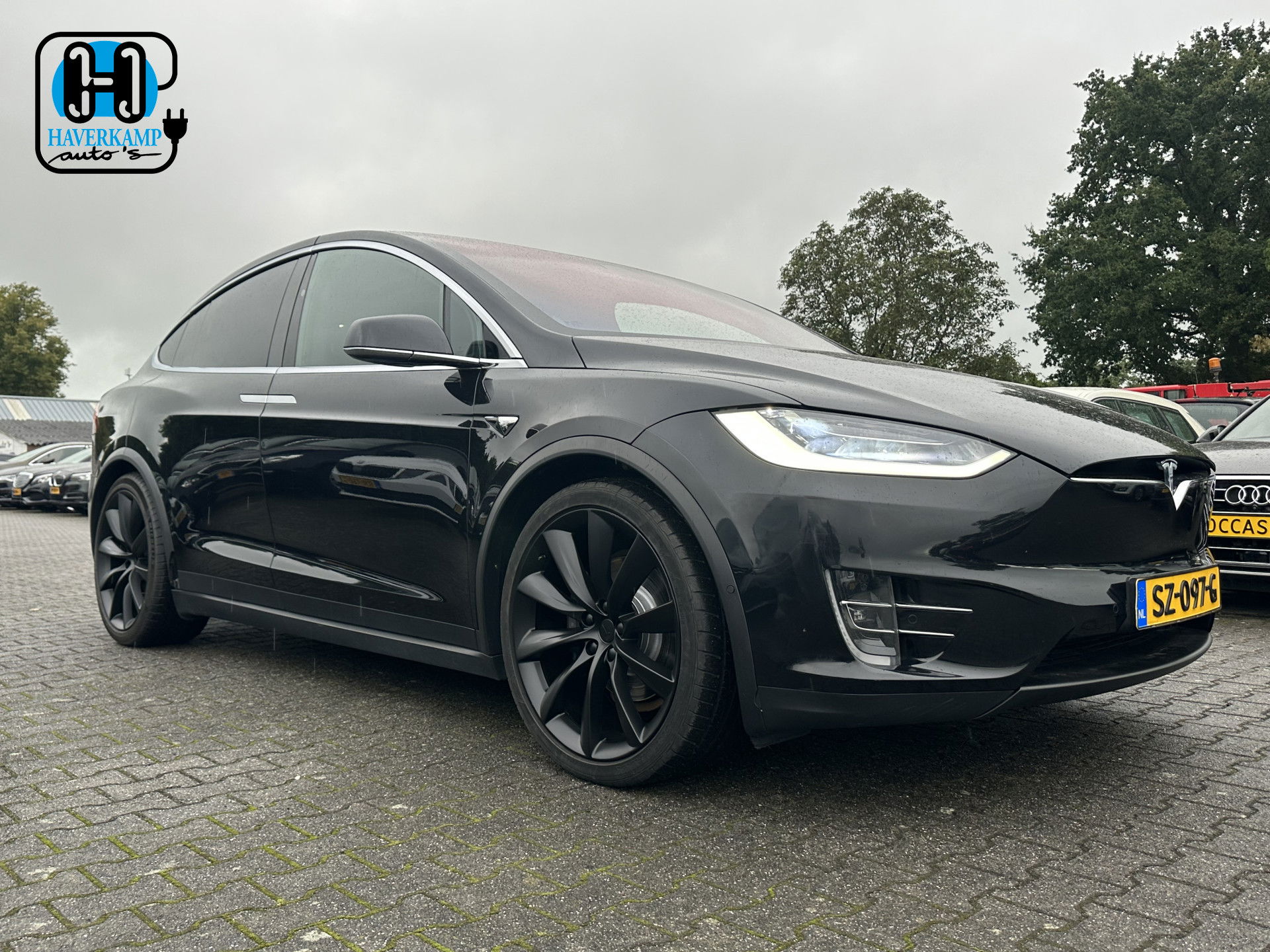 Foto van Tesla Model X