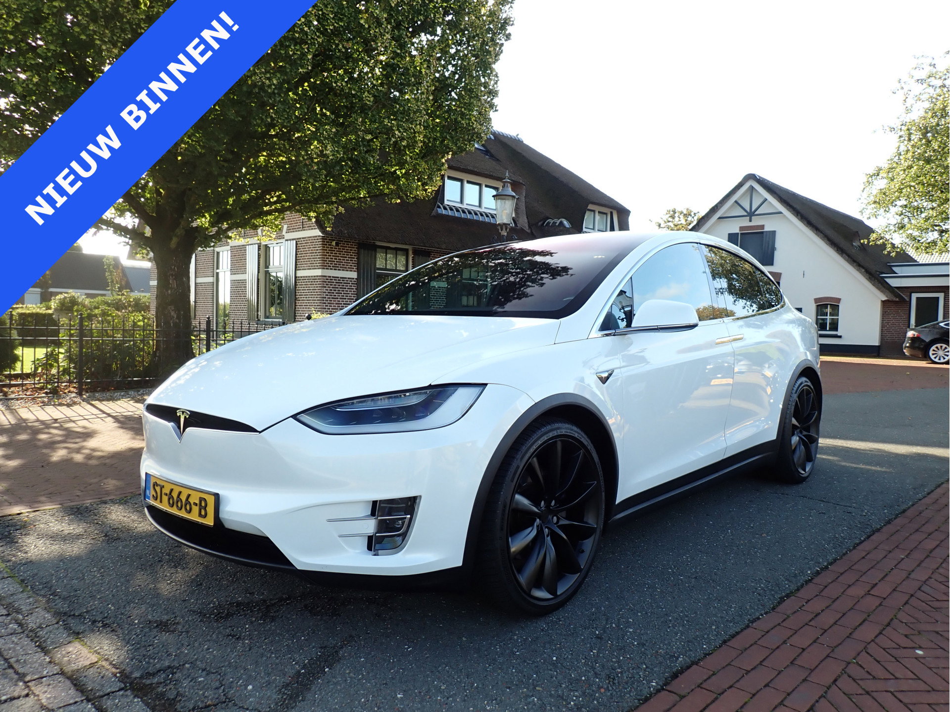 Foto van Tesla Model X