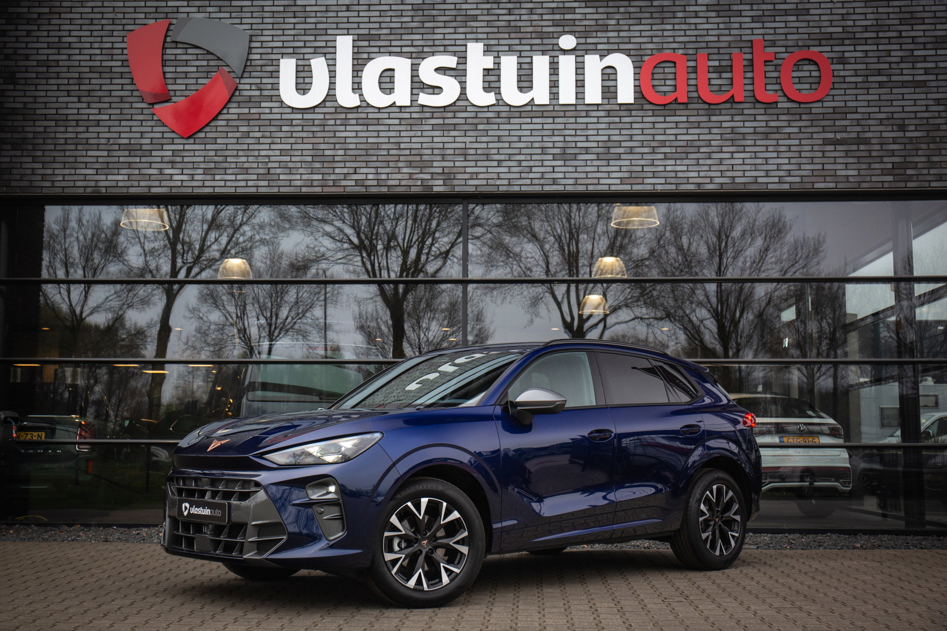 Foto van CUPRA Terramar